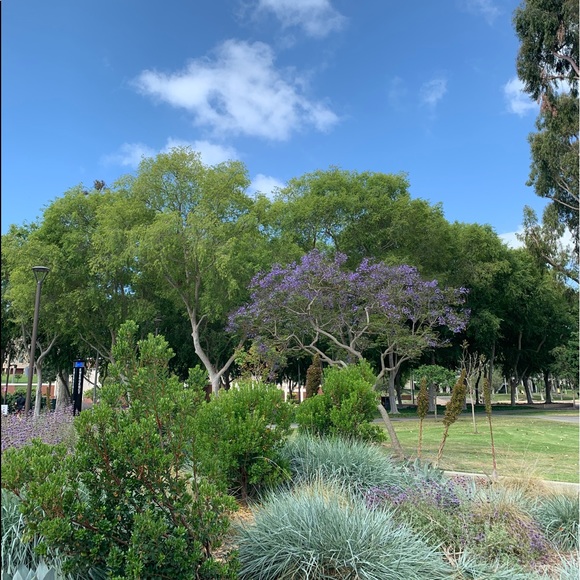 Meet your Posher, Risha - Picture 1 of 1